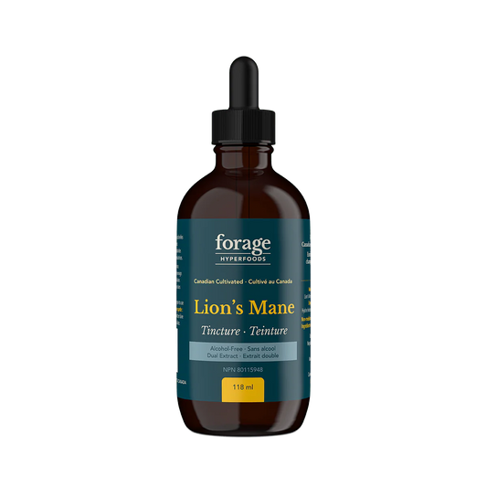 Lion's Mane Tincture Alcohol-Free - Forage Hyperfoods