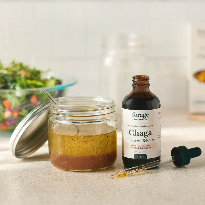 Chaga Tincture Alcohol-Free - Forage Hyperfoods