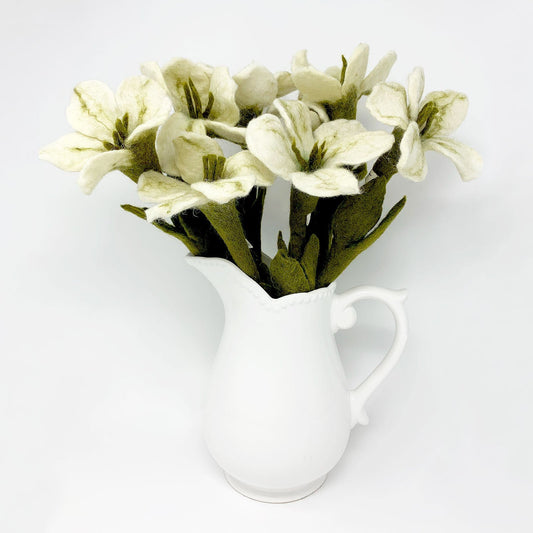 Christmas Rose - Single Stem