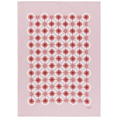 Dishtowel and Swedish Sponge Cloth Set of 2 - Paseo
