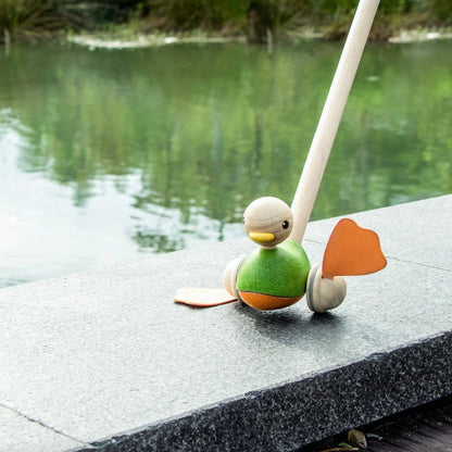 Push-Along Duck