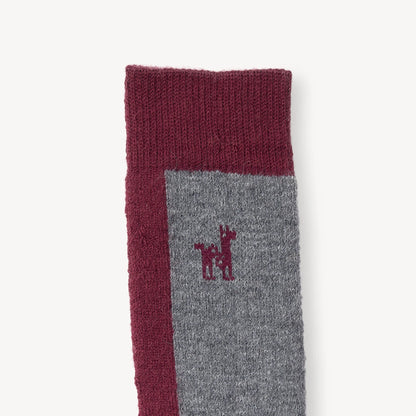 Alpaca Socks - Hiker - Beet