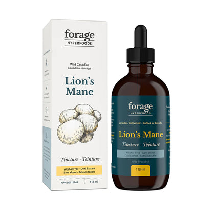 Lion's Mane Tincture Alcohol-Free - Forage Hyperfoods