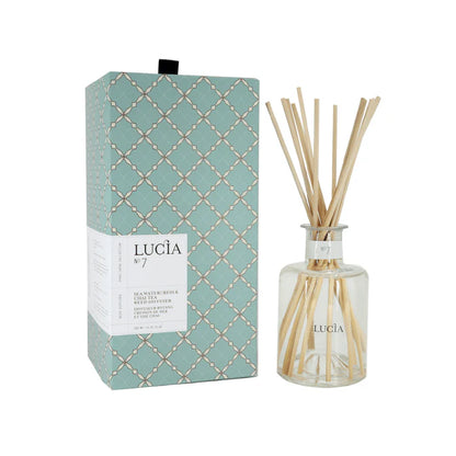 Lucia Reed Diffuser
