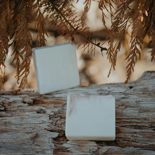 Moisturizing Soap Bar - Somerset Moss