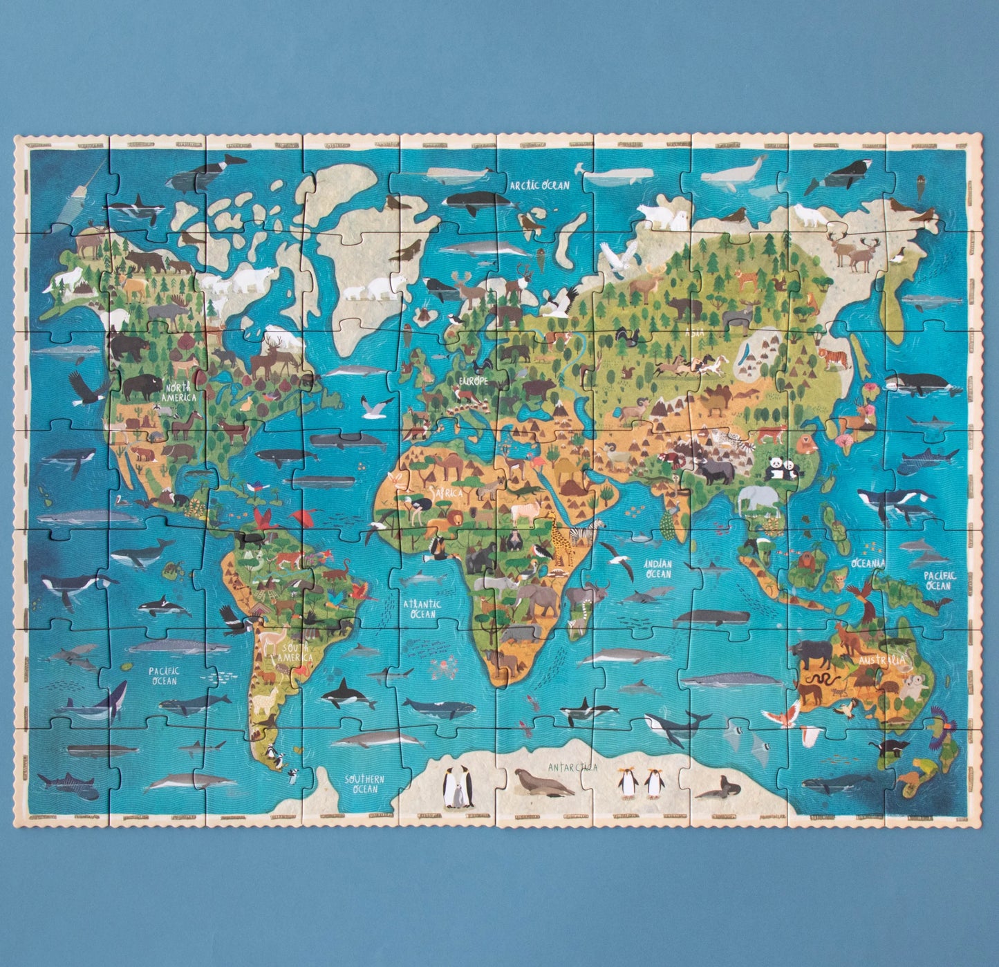 Animal Planet Puzzle