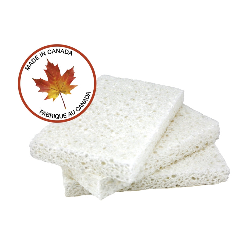 Plain Jane Sponges - Set of 3