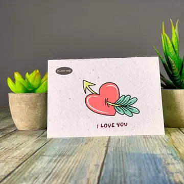 Love & Friendship - I Love You