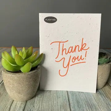 Thank You - Thank You!
