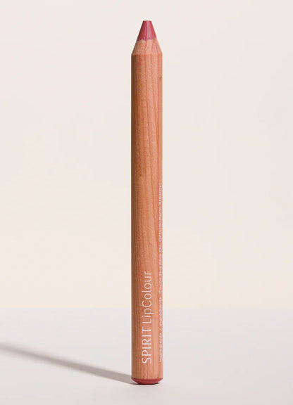 Lip Stick - Long-Wearing Lip Crayon | prettycleanshop
