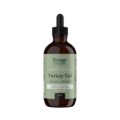 Turkey Tail Tincture Alcohol-Free - Forage Hyperfoods