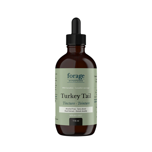 Turkey Tail Tincture Alcohol-Free - Forage Hyperfoods