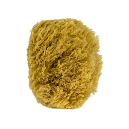 The All-Natural Sea Sponge by Urban Spa