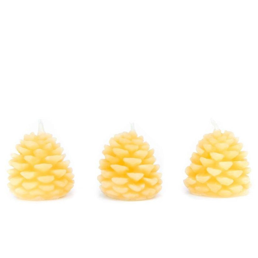 Pine Cone Beeswax Candle Holiday Beeswax works Prettycleanshop