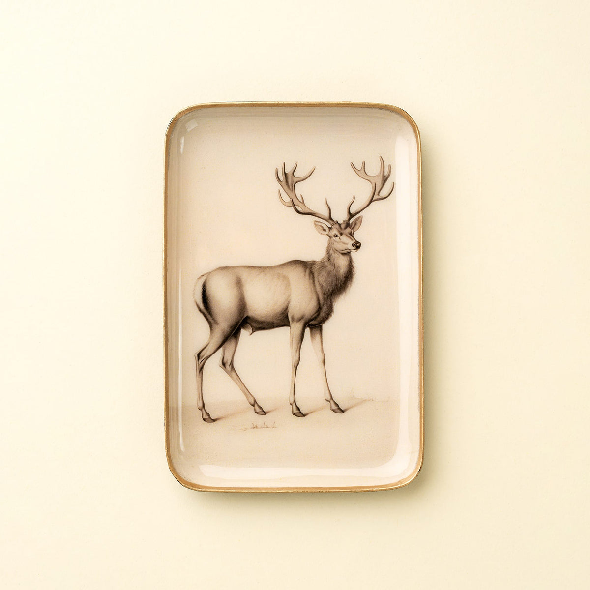 Decorative Enameled Tray