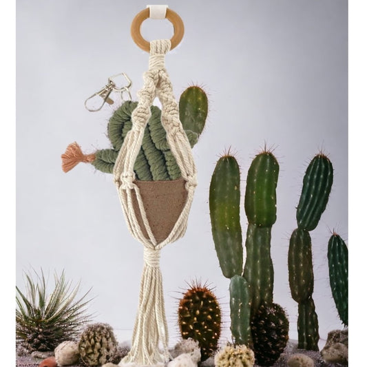 DIY Macramé Hanger w/ Cacti and Pot Kit