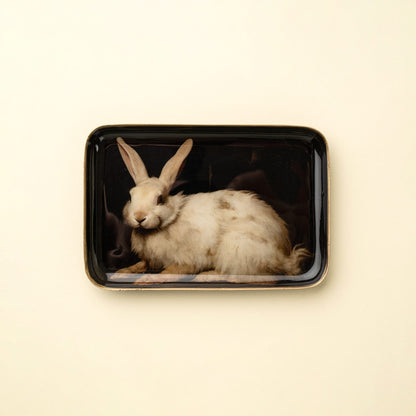Decorative Enameled Tray