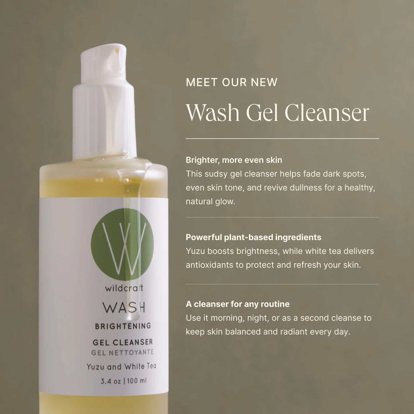 Wash Gel Cleanser
