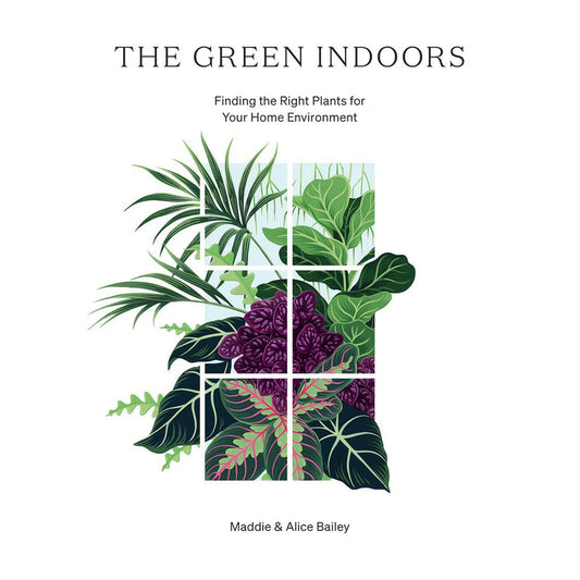 The Green Indoors: Finding the Right Plants for Your Home Environment