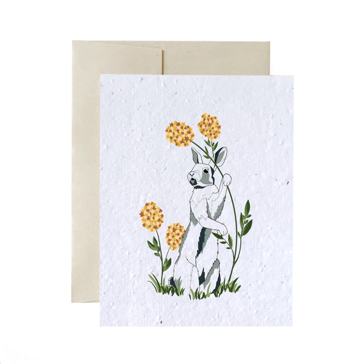 Greeting Cards - Plantable Seed Paper - Blank