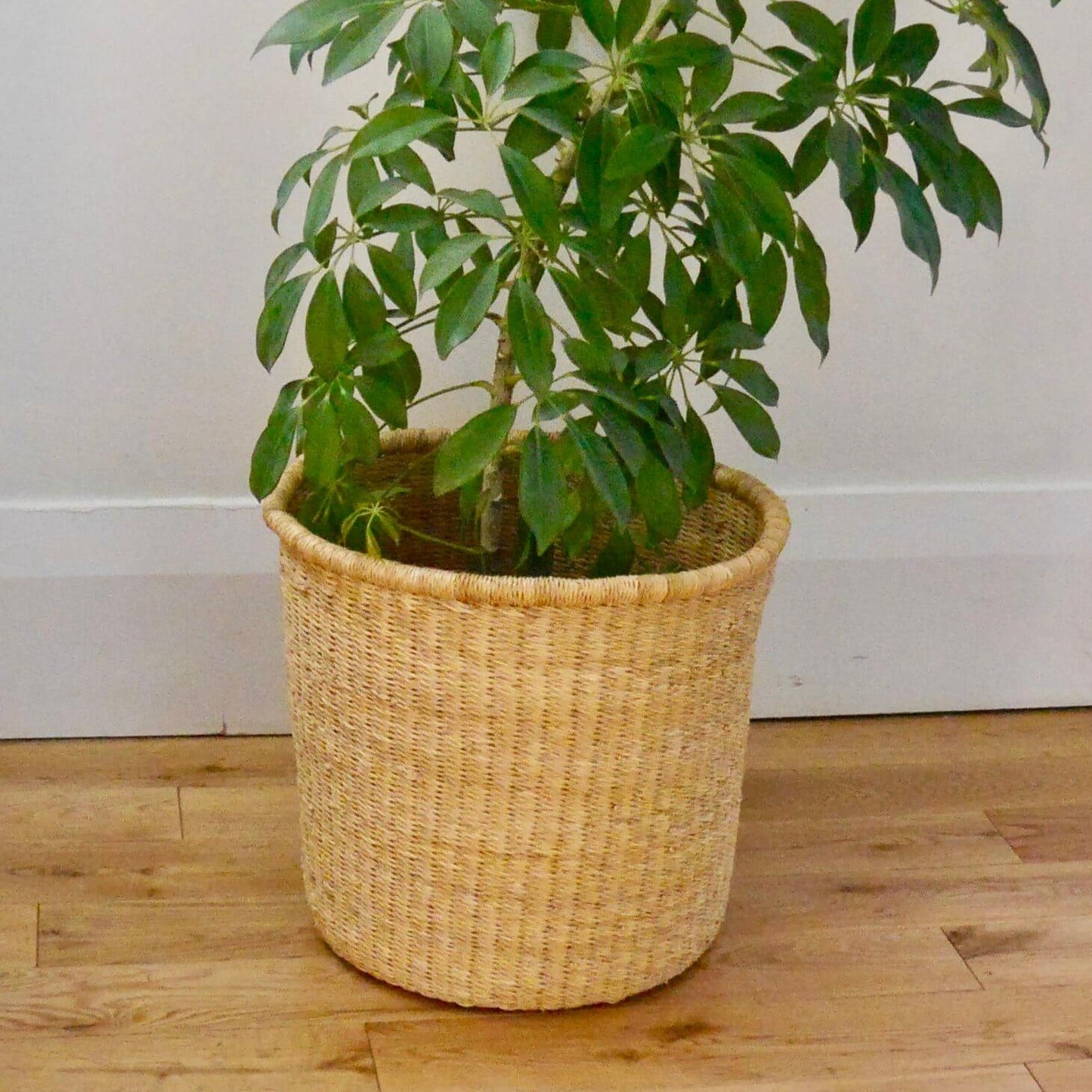 African Plant Pot Basket - Tall Large Living Mamaa Trade Natural Prettycleanshop