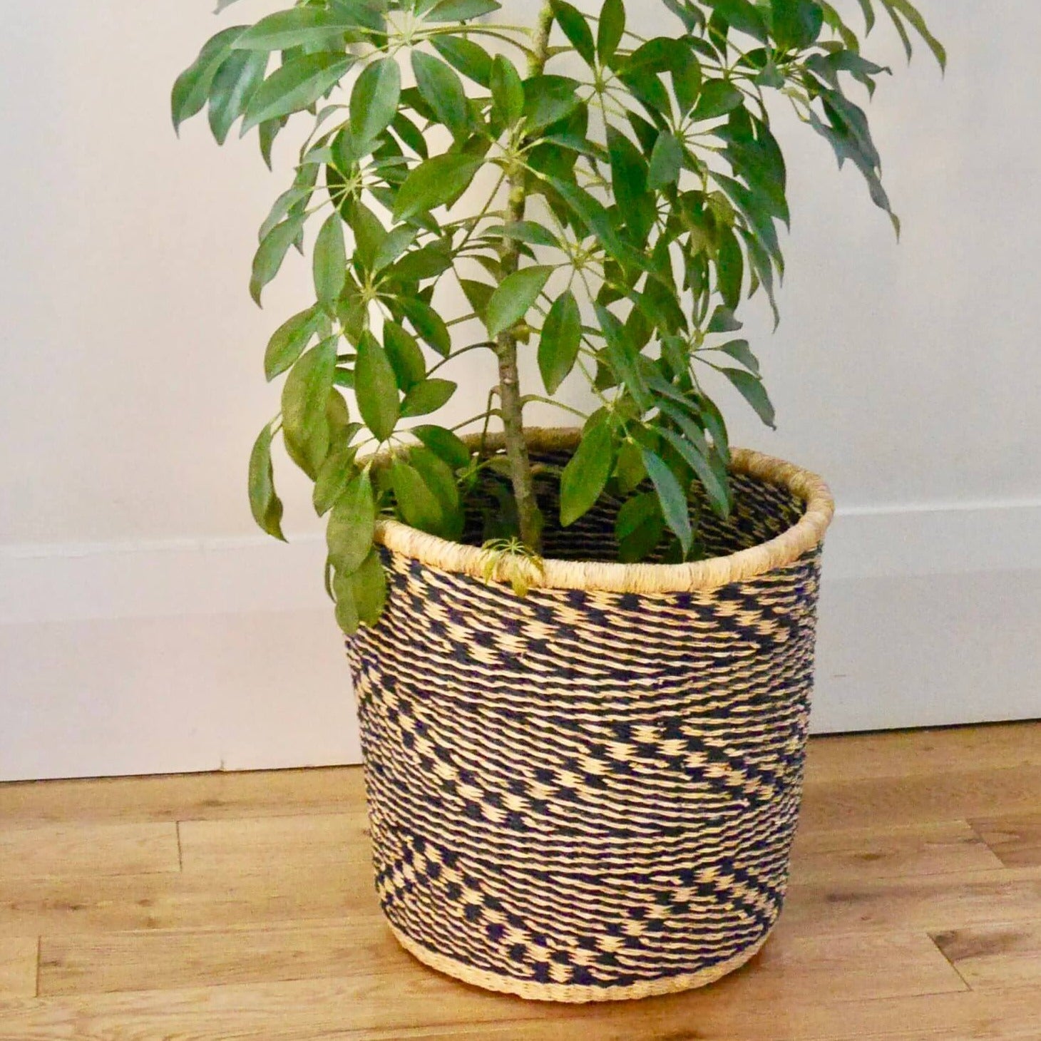 African Plant Pot Basket - Tall Large Living Mamaa Trade Zig Zag Prettycleanshop