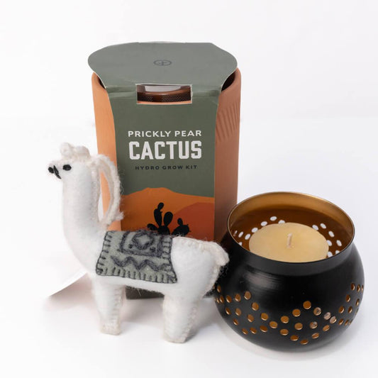 Cactus Decor Gift Set Holiday Gift Set Multi Brand Gift Set With votive holder Prettycleanshop