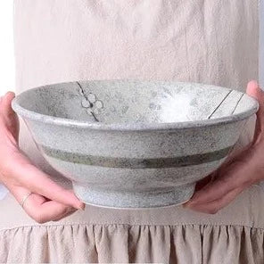 Mino Yaki Early Spring Japanese Porcelain Big Soup Bowl