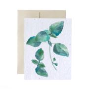 Greeting Cards - Plantable Seed Paper - Blank Living FlowerInk Basil Prettycleanshop