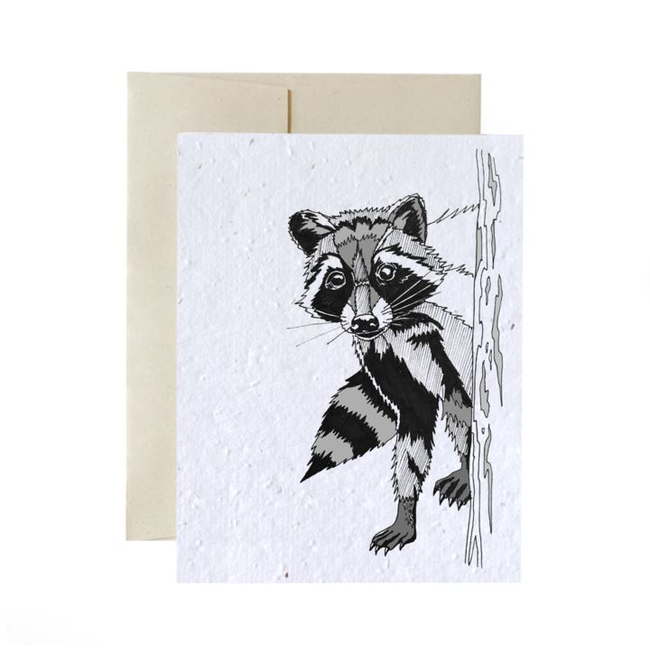 Greeting Cards - Plantable Seed Paper - Blank Living FlowerInk Raccoon Prettycleanshop