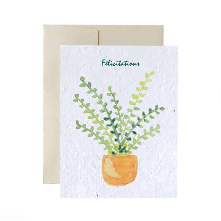 Greeting Cards - Plantable Seed Paper - Congratulations Living FlowerInk Fern in Pot Prettycleanshop