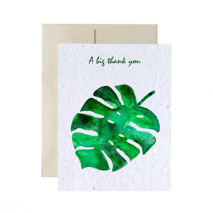 Greeting Cards - Plantable Seed Paper - Thank You Living FlowerInk Monstera Big Thank You Prettycleanshop