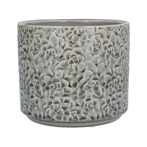 Grey Succulents Ceramic Pot Cover - Medium Living Silver Tree Home Prettycleanshop