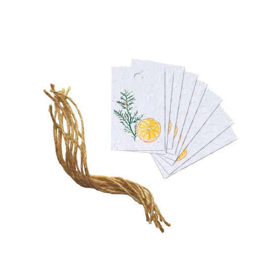 Holiday Gift Tags - Plantable Seed Paper - Cedar & Oranges Holiday FlowerInk Cedar & Oranges Prettycleanshop