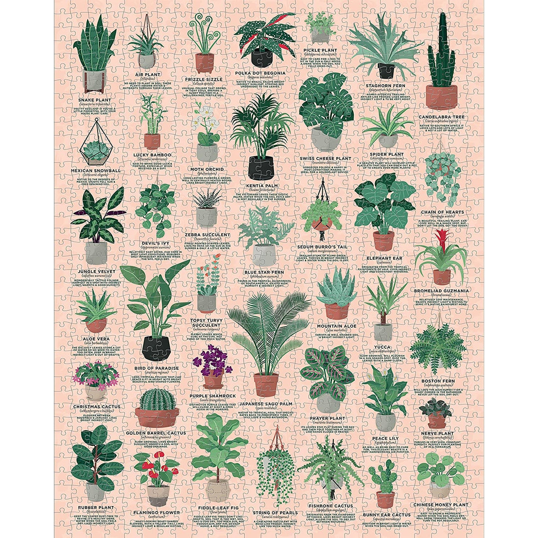 House of Plants 1000 Jigsaw Puzzle by Ridley's Games Ridley's Prettycleanshop