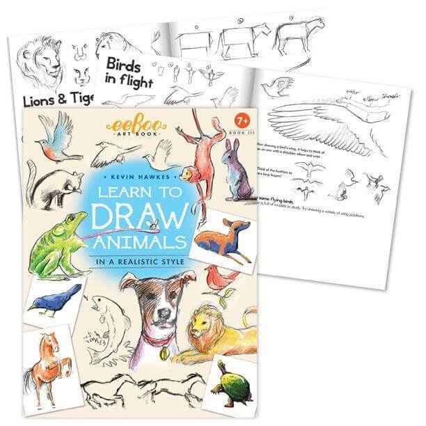 Learn to Draw Animals with Kevin Hawkes by eeBoo Kids Eeboo Prettycleanshop