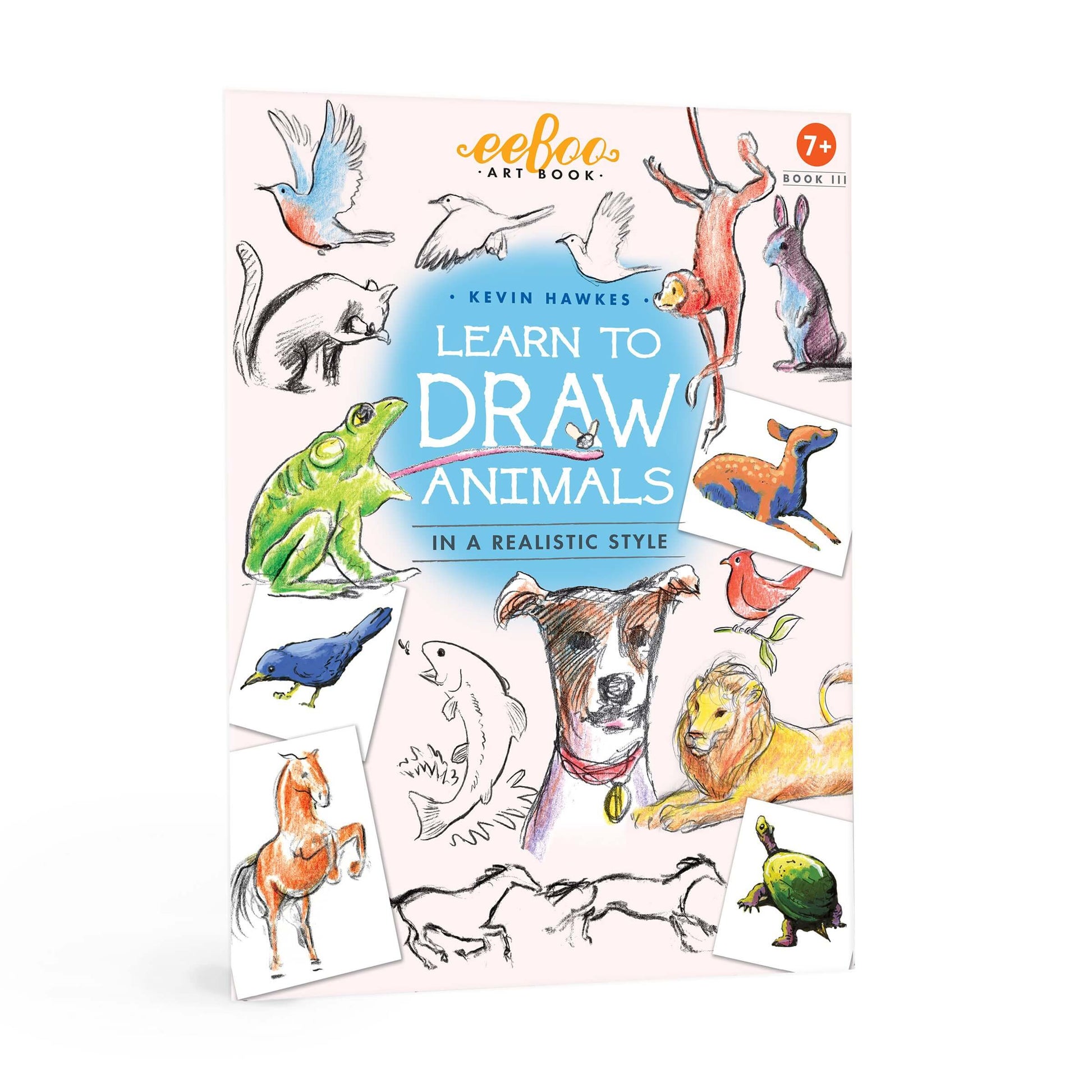 Learn to Draw Animals with Kevin Hawkes by eeBoo Kids Eeboo Prettycleanshop