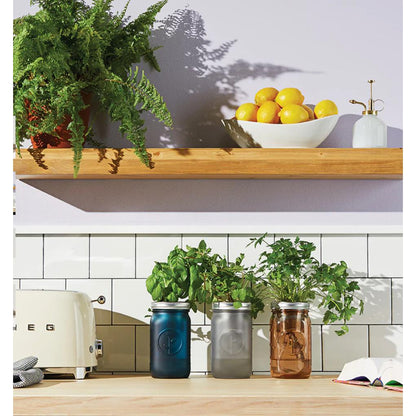 Modern Sprout Garden Jar - Basil Living Modern Sprout Prettycleanshop