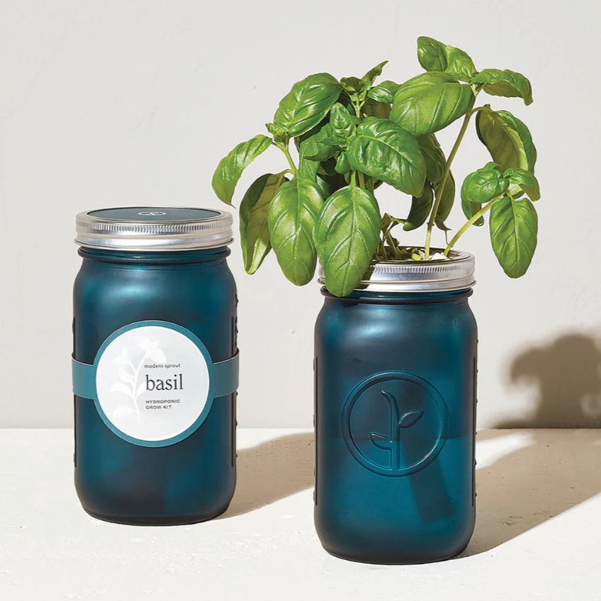 Modern Sprout Garden Jar - Basil Living Modern Sprout Prettycleanshop