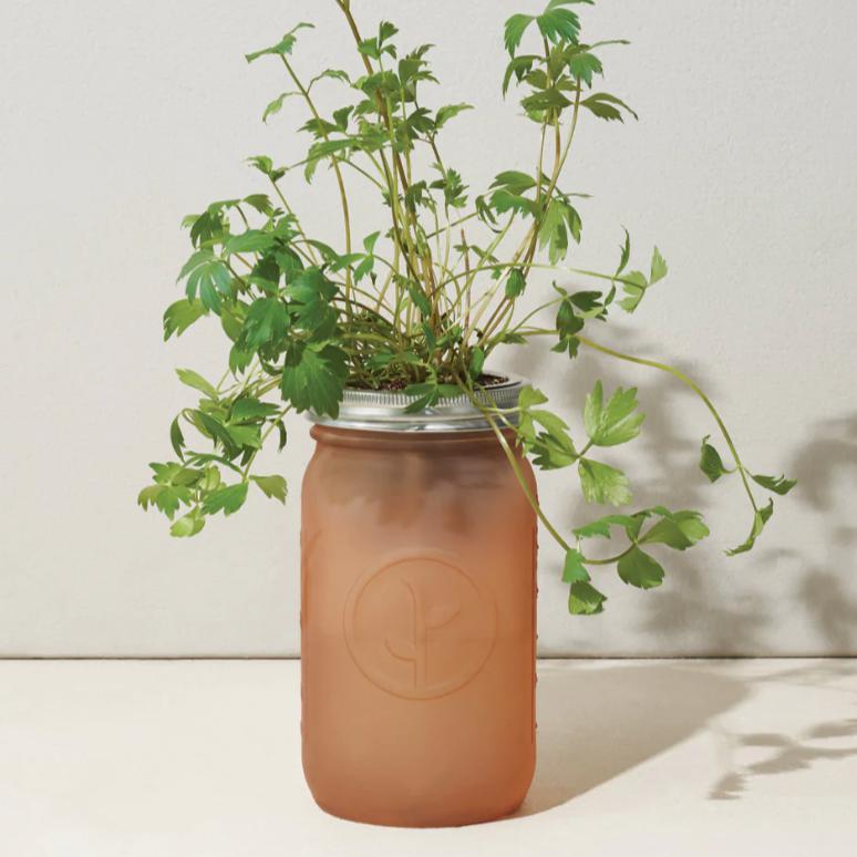 Modern Sprout Garden Jar - Parsley Living Modern Sprout Prettycleanshop