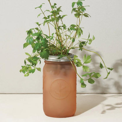 Modern Sprout Garden Jar - Parsley Living Modern Sprout Prettycleanshop