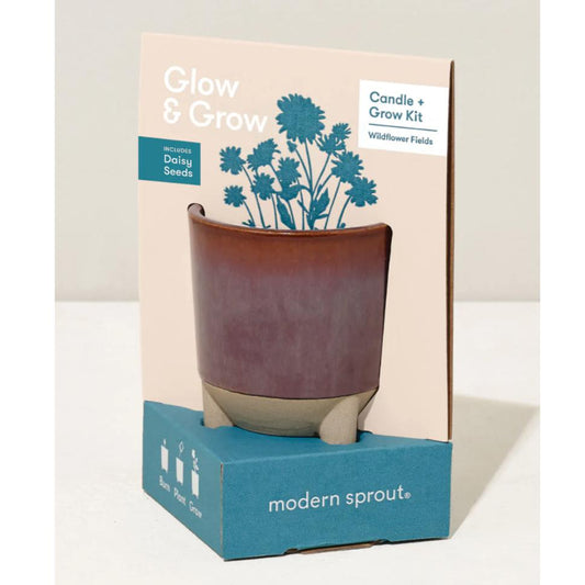 Modern Sprout Glow & Grow Wildflower Candle and Daisy Grow Kit Living Modern Sprout Prettycleanshop