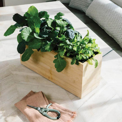 Modern Sprout Pruning Shears Living Modern Sprout Prettycleanshop