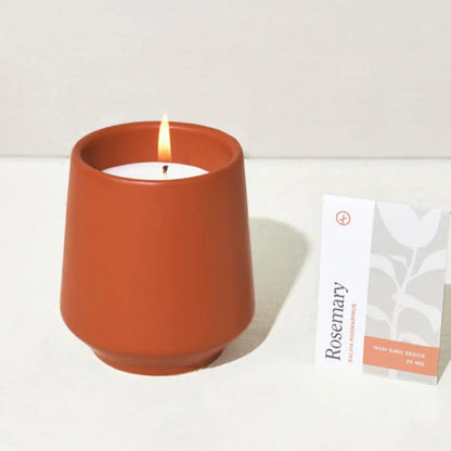 Modern Sprout Rooted Candle - Rosemary and Cucumber Living Modern Sprout Prettycleanshop