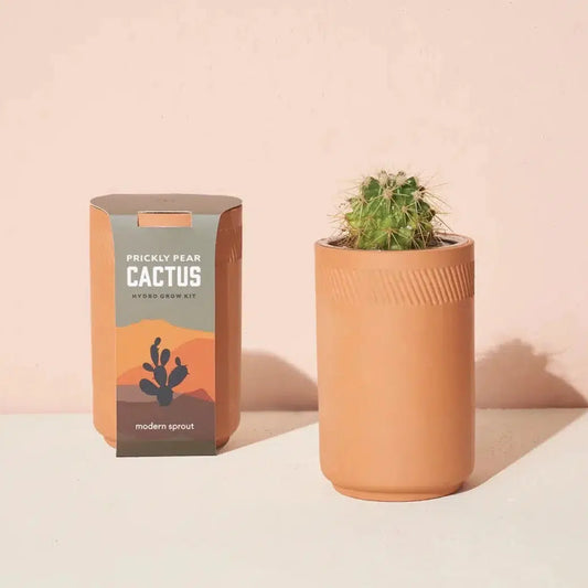 Modern Sprout Terracotta Grow Kit - Cactus Living Modern Sprout Prettycleanshop