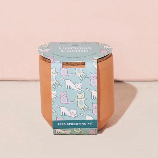 Modern Sprout Tiny Terracotta Kit - Curious Catnip Living Modern Sprout Prettycleanshop