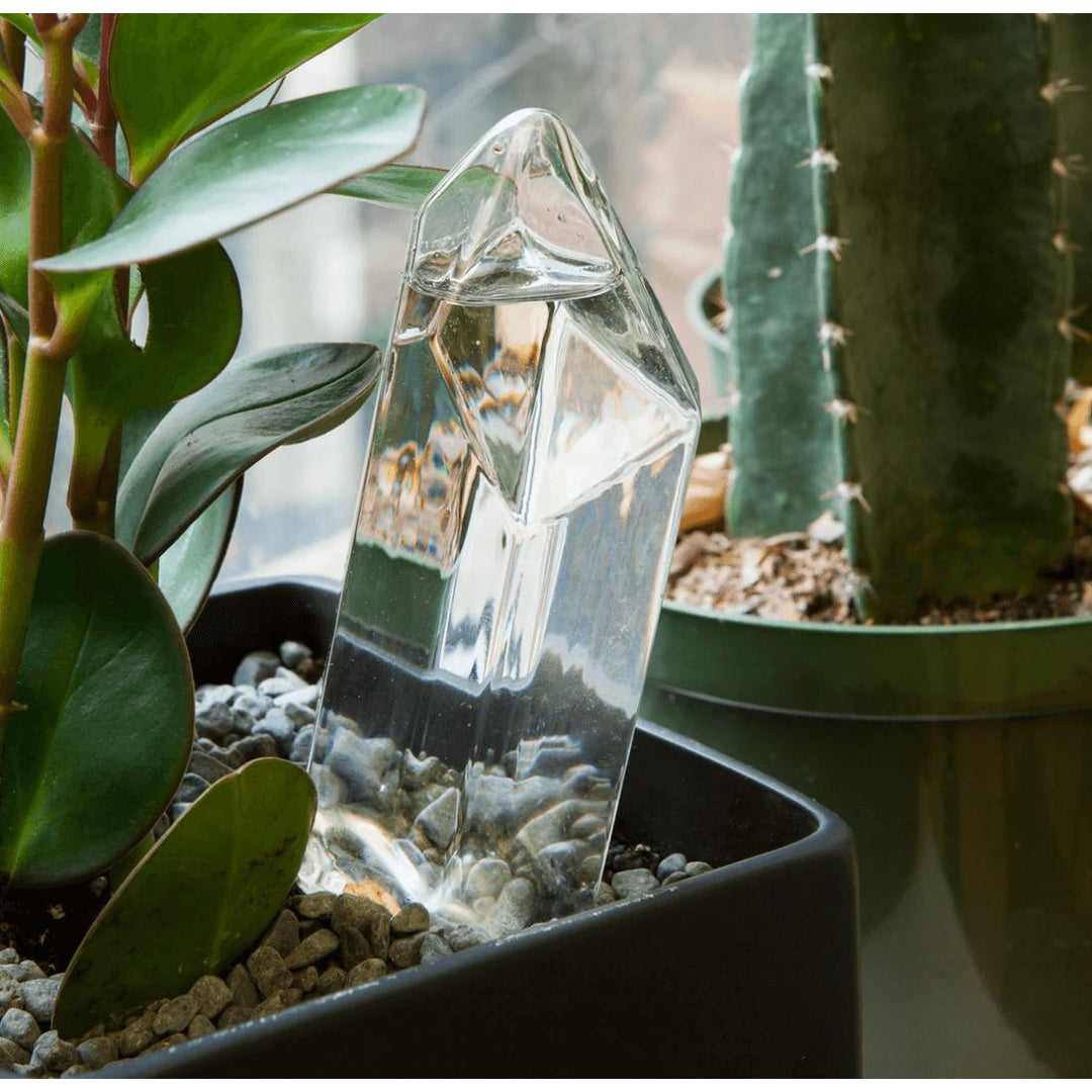 Plant Watering Crystal Living Kikkerland Prettycleanshop
