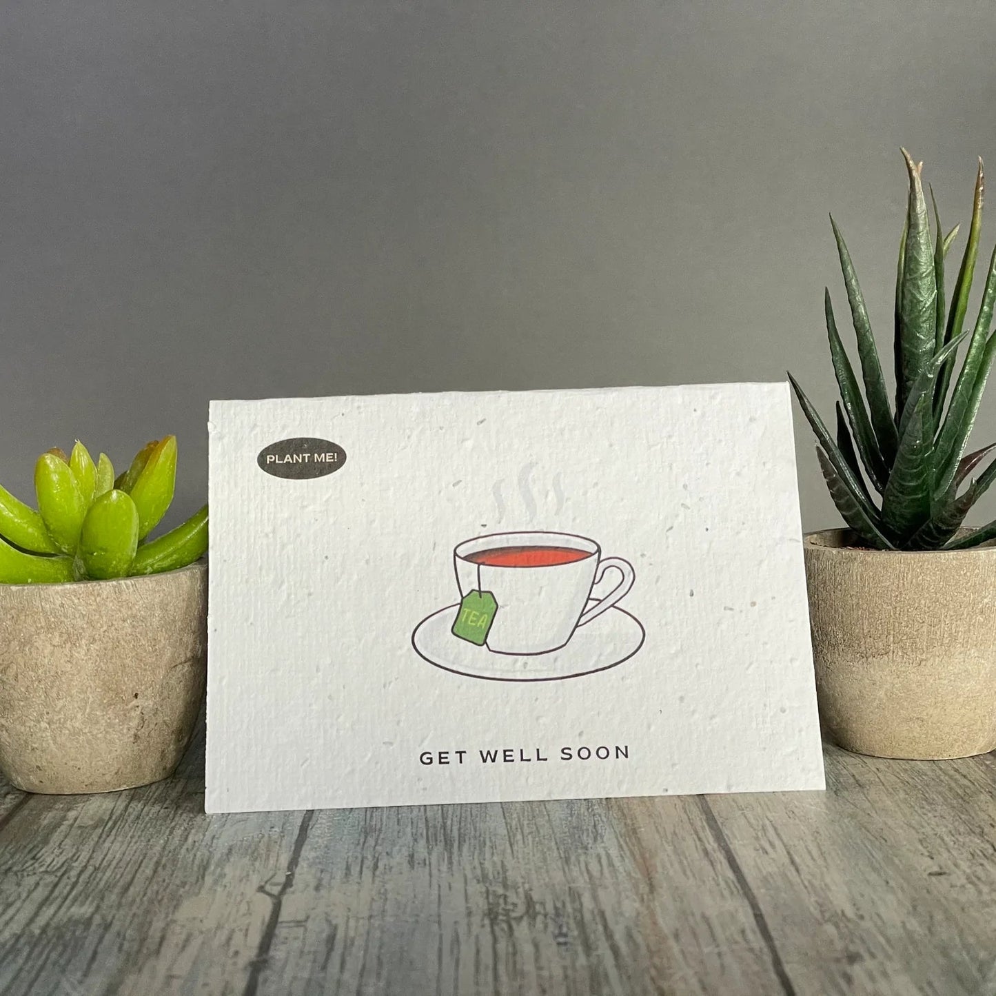 Plantable Greetings Cards - Get Well Soon Living Plantable Greetings Cup of Tea Prettycleanshop