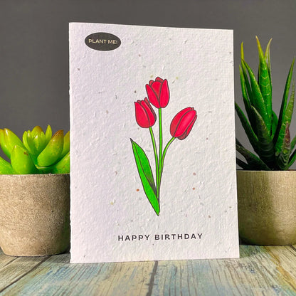 Plantable Greetings Cards - Happy Birthday Living Plantable Greetings Birthday Flowers Prettycleanshop