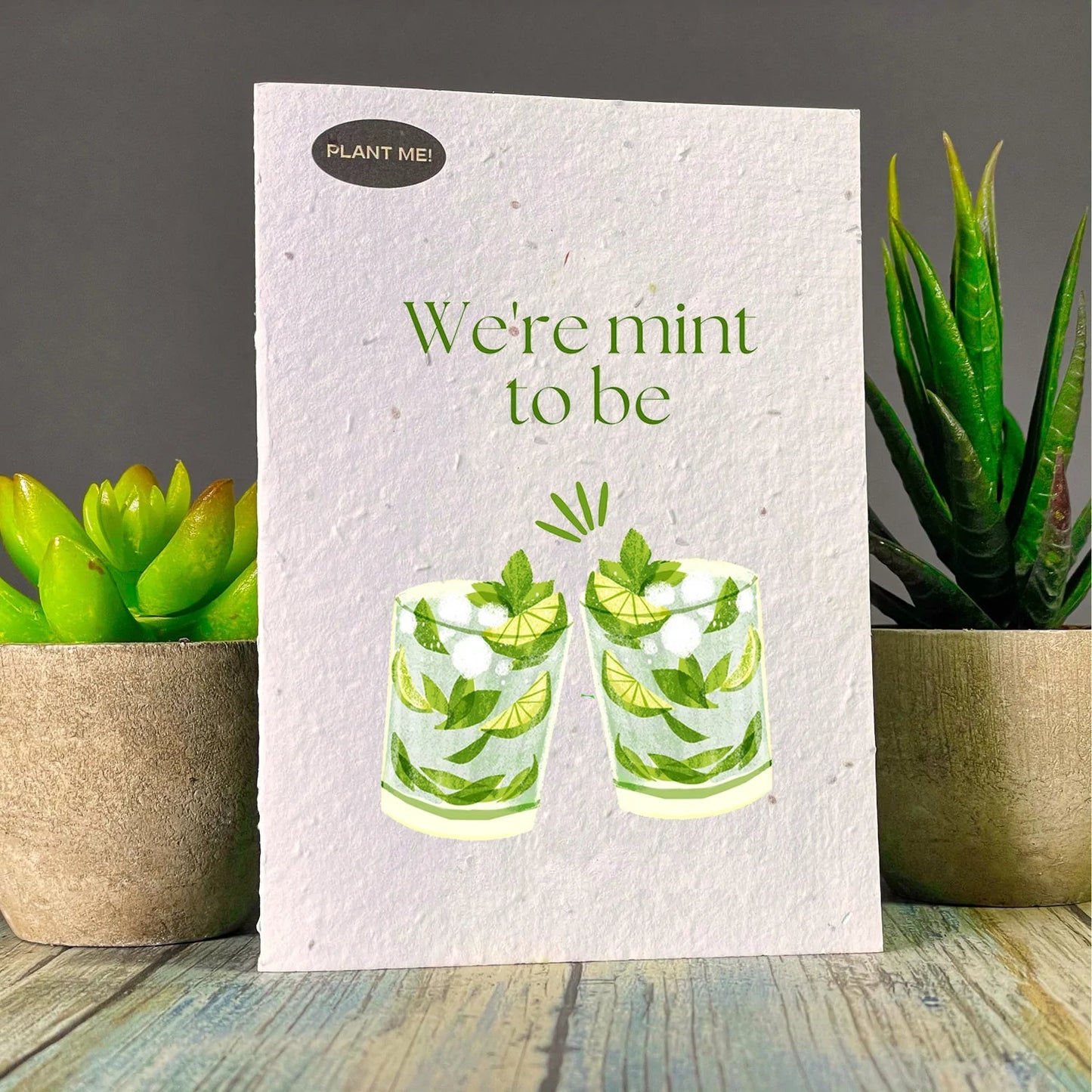 Plantable Greetings Cards - Love Living Plantable Greetings We're Mint to Be Prettycleanshop